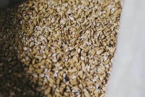 啤酒厂设备详细配置，啤酒厂酿酒麦芽是如何生产的？