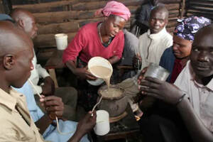 酒国猎奇|来自肯尼亚的“布沙（busaa)”