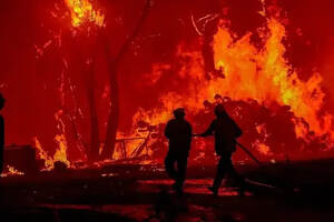 山火失控，阿德莱德山1/3葡萄园被毁，恢复或需数年
