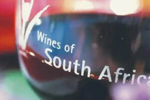 为什么现在越来越流行南非葡萄酒？（南非为什么越来越落后）