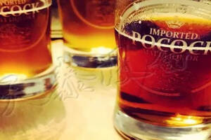 低温发酵啤酒(Lager)和常温发酵啤酒(Ale)的差异