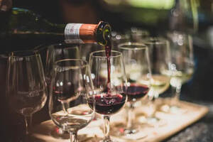 作为一个葡萄酒新手，有哪些酒款可以选择？