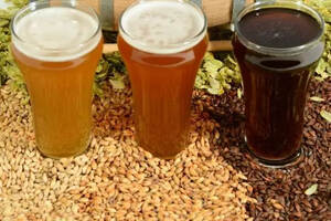 啤酒行业原料选择和使用的技术原则是什么？