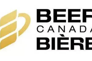 加拿大发布啤酒行业大数据，精酿啤酒在枫叶国发展不错？