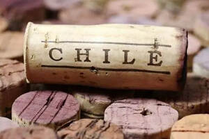 还以为智利只有低端酒？它是这样逆袭的！