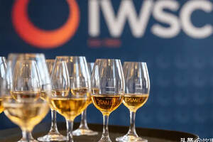 IWSC 2022威士忌杰出金奖评选结果公布，屯酒指南又来了
