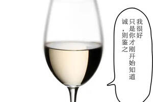 品酒相对论——白葡萄酒为啥在中国销量低迷