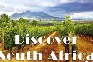 今天这篇南非葡萄酒的“扫盲帖”，供对此感兴趣的入门级爱好者阅读。