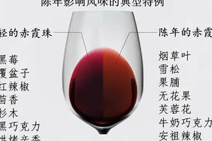 妙招｜5招教你轻松辨别葡萄酒的陈年潜力