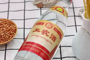 「微酒独家」定价50元，“工农酒”抢占高线光瓶“第一阵营”