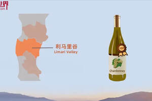 智利葡萄酒产区分布