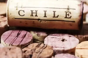 葡萄酒大师深度解读：智利赤霞珠葡萄酒怎么了？