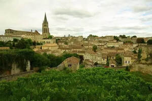 这个产区被誉为“波尔多后花园”，葡萄酒性价比堪称法国之最！