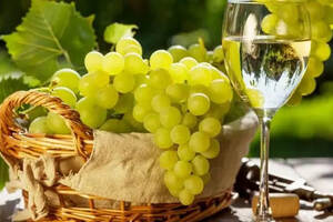 维欧尼葡萄酒，科普最常见的100种葡萄酒佳酿之一维欧尼葡萄酒