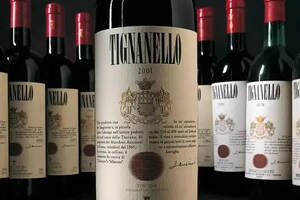 天娜：意大利第一款超级托斯卡纳葡萄酒