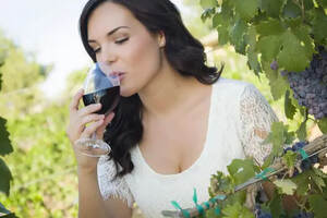 葡萄酒的重要特征-酸度，简单易懂的葡萄酒中有关酸度的描述