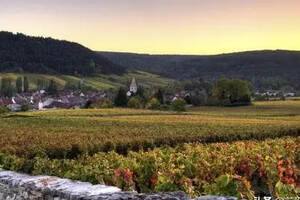 法国勃艮第薄酒莱(BEAUJOLAIS)产区的葡萄酒简介