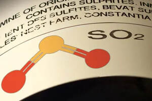 葡萄酒中为什么会含有二氧化硫？（为什么葡萄酒含有亚硝酸盐）