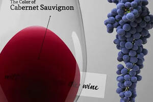 红葡萄品种——赤霞珠（葡萄品种西拉和赤霞珠）