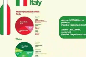 世界上生产葡萄酒和消费葡萄酒最多的国家