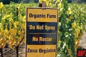进口葡萄酒因标注被强制下架！为什么有的酒商却可以例外？