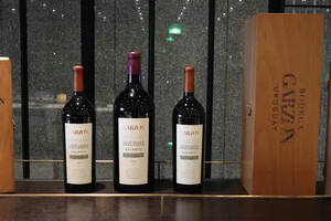 乌拉圭酒王嘉颂酒庄Balasto葡萄酒2016年份发布晚宴在京举办