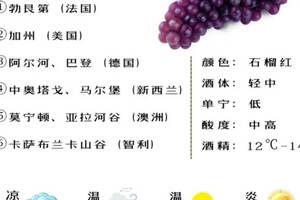 红葡萄品种千千万，只有这4个最经典