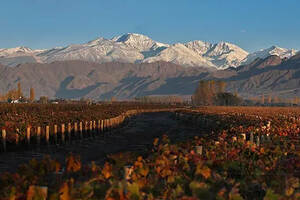 安第斯山脉对阿根廷葡萄酒的影响（安第斯山脉在阿根廷的哪里）