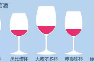 如何用18种杯子喝同一款葡萄酒喝出不同人生？