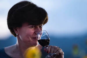 葡萄酒感官感受强度有公式，四种基本味道的味觉敏感度的科学研究