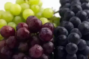 葡萄季｜鲜食or酿酒，葡萄的用途你分得清吗？
