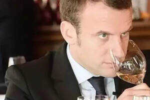 法国小鲜肉总统居然是葡萄酒盲品高手，这是真的吗？