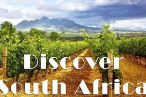 南非葡萄酒知识“扫盲帖”