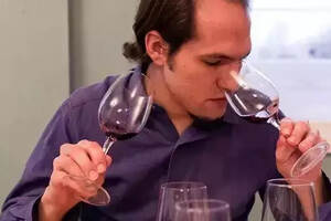 学会描述葡萄酒的香味儿，你才会更专业