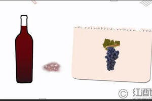 认识葡萄酒中常见的沉淀
