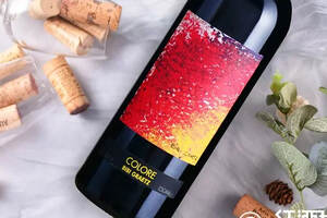 “意大利葡萄酒界英雄”之作，调色板上的托斯卡纳