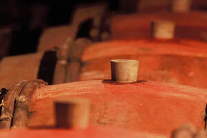 帕弗洛酒庄多米诺德：萨维尼一级园的精彩呈现