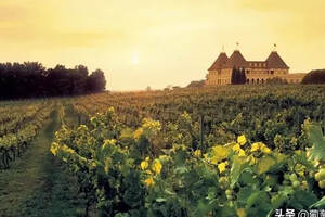 法国波尔多其他葡萄酒产区的葡萄酒简介（法国波尔多产区葡萄酒的葡萄品种）