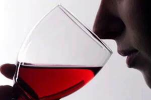 更为完善的葡萄酒品鉴方式，人与葡萄酒的邂逅