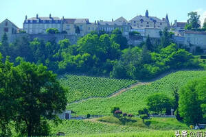 法国卢瓦尔河流域桑塞尔(SANCERRE)产区的葡萄酒简介