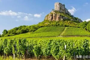 法国勃艮第黑尼耶、胡利和圣阿姆产区的葡萄酒简介