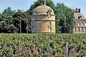 是不是标了Château的葡萄酒都是好酒呢？