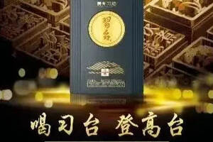 贵州茅台酒厂有限责任公司的生命周期