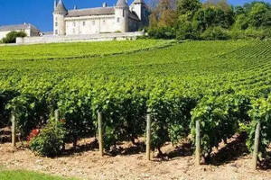 法国勃艮第伯恩(BEAUNE)产区的葡萄酒简介