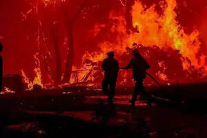 WINE NEWS丨山火失控，阿德莱德山1/3葡萄园被毁……