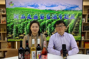 甘肃莫高葡萄酒有限公司