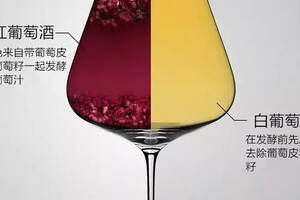 红、白葡萄酒有什么区别？最系统的解释在这里！