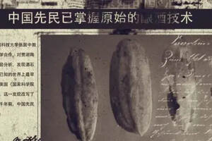 考古丨9000年前，中国先民已掌握原始的酿酒技术？