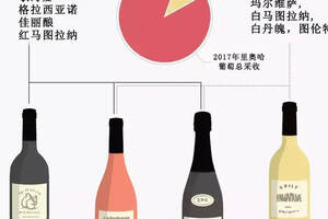 2018 里奥哈葡萄酒最新分级系统，快看看有哪些变化