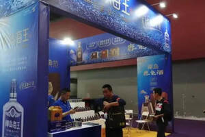 亮相第23届中国（广州）国际名酒展，椰岛谋广东市场大局
